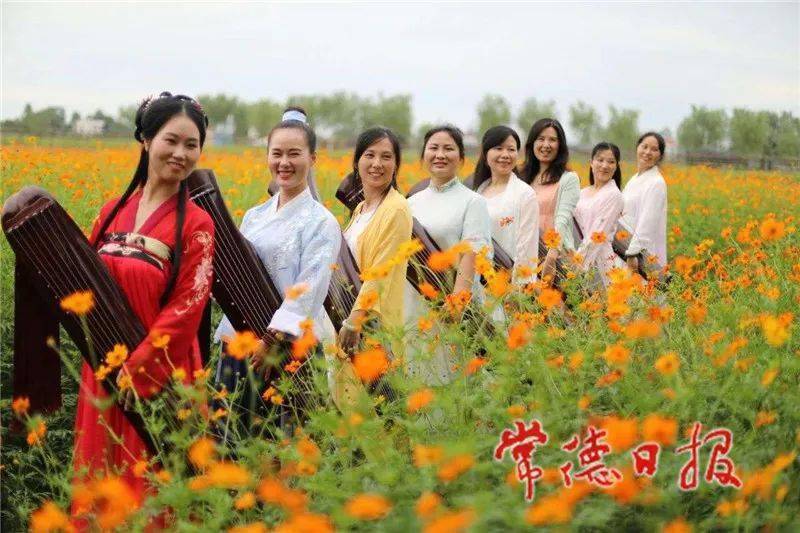 MK电竞：
国庆中秋常德人游常德之城头山：千年古城的粉红穿越(图6)