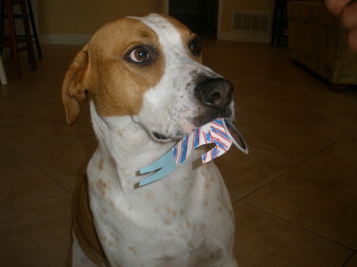 ‘MK电竞’全屋定制成家具市场主力 头部房企纷纷涉足