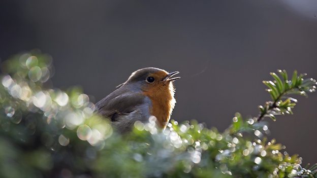 
多图＋视频→当“网红大V”遇见水东古镇……_MK电竞