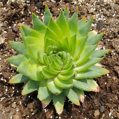 ‘MK电竞’11家央企人事变动:杨长利出任中国广核集团党委书记、董事长(图1) MK电竞