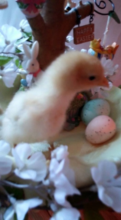 无锡楼市象征性调控 网友:力度不够_MK电竞(图3) MK电竞